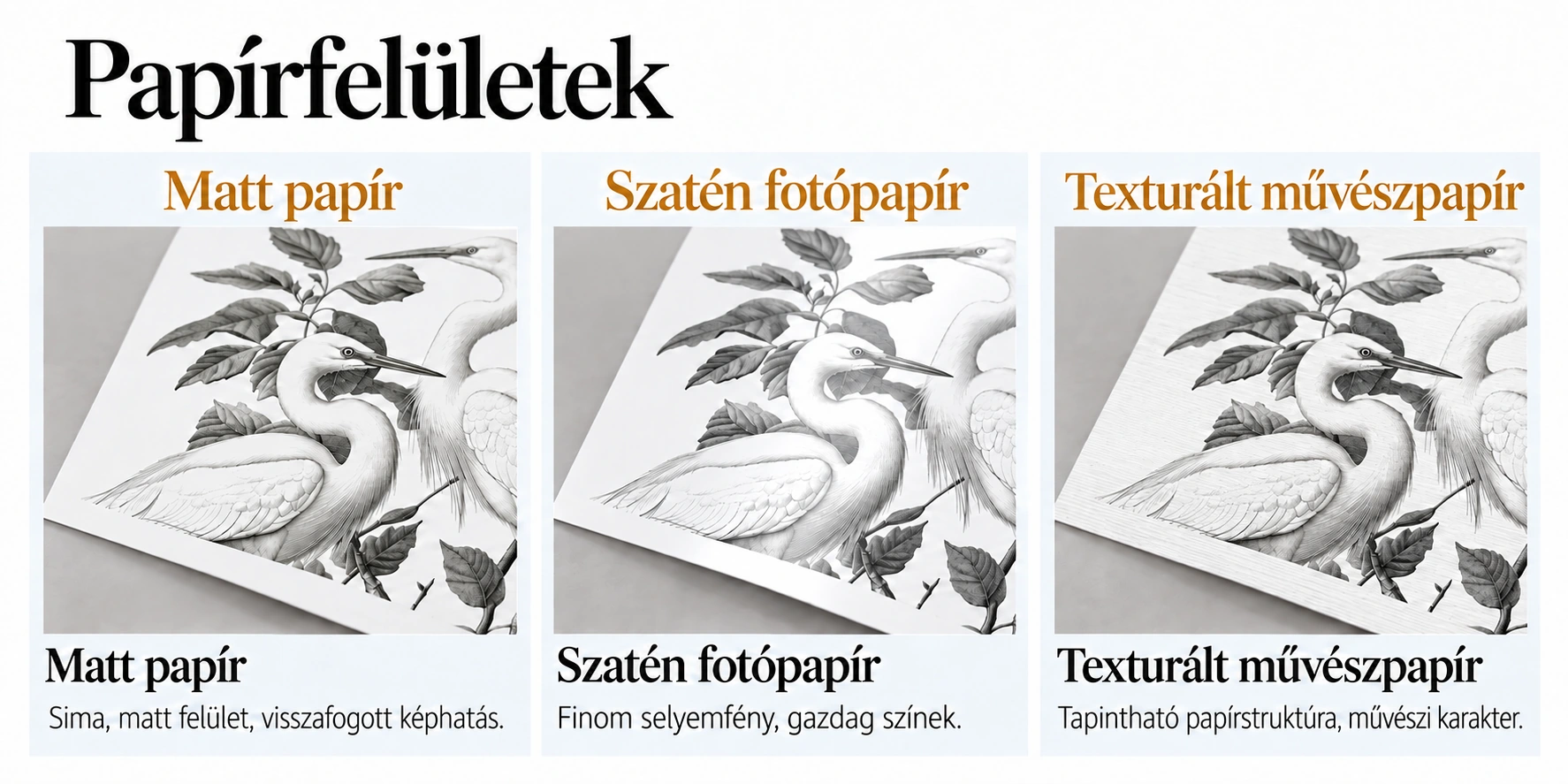 Matte paper – A smooth, matte surface with an understated appearance.